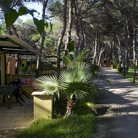Camping La Vecchia Torre Hotel Gallipoli Luaran gambar